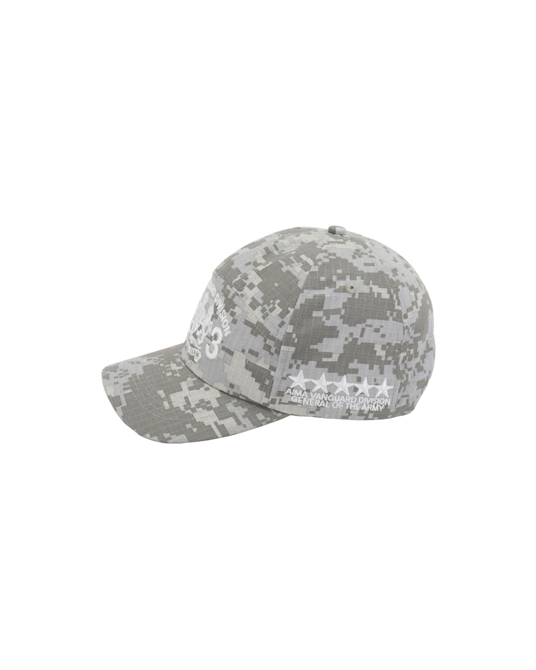 AIMA VANGUARD DIVISION CAP